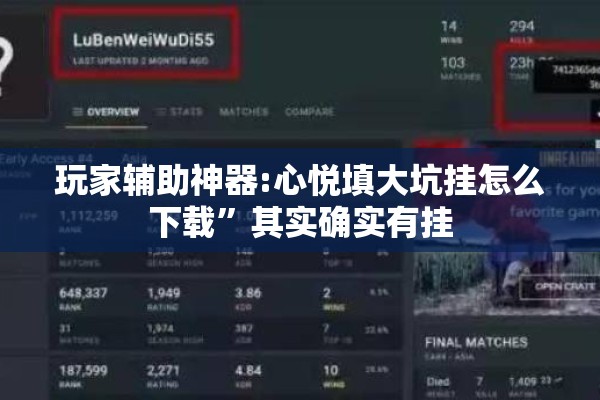 玩家辅助神器:心悦填大坑挂怎么下载”其实确实有挂