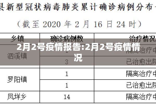 2月2号疫情报告:2月2号疫情情况