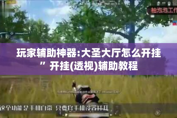 玩家辅助神器:大圣大厅怎么开挂	”开挂(透视)辅助教程