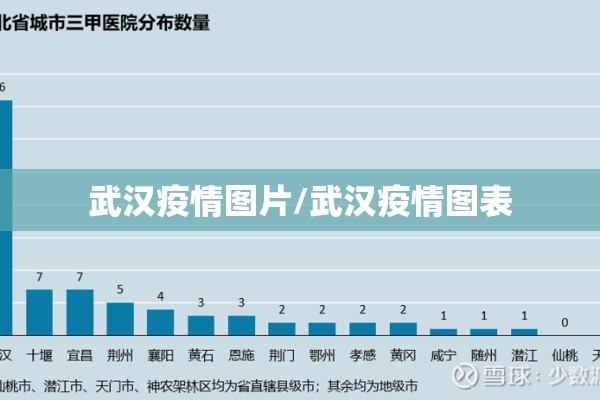 武汉疫情图片/武汉疫情图表 武汉疫情图片/武汉疫情图表
