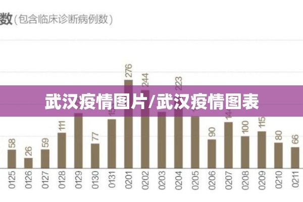 武汉疫情图片/武汉疫情图表 武汉疫情图片/武汉疫情图表