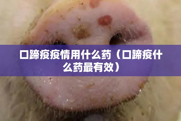口蹄疫疫情用什么药（口蹄疫什么药最有效）