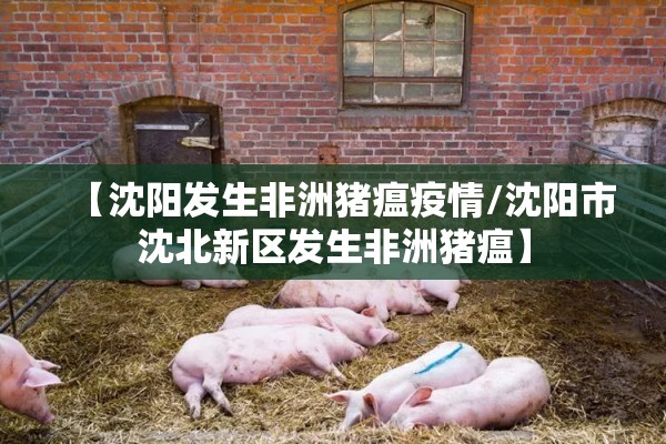 【沈阳发生非洲猪瘟疫情/沈阳市沈北新区发生非洲猪瘟】