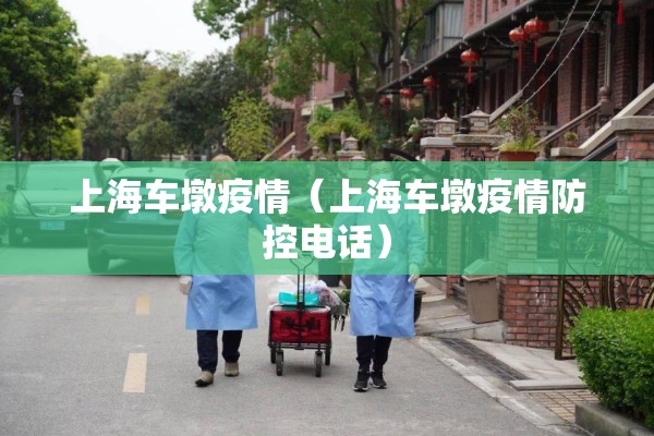 上海车墩疫情（上海车墩疫情防控电话）