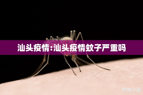 汕头疫情:汕头疫情蚊子严重吗