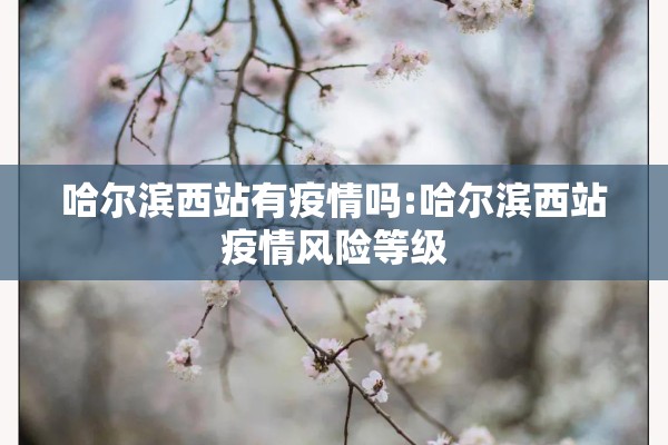 哈尔滨西站有疫情吗:哈尔滨西站疫情风险等级
