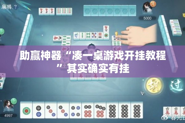 助赢神器“凑一桌游戏开挂教程	”其实确实有挂