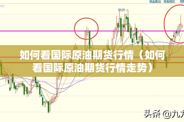 如何看国际原油期货行情（如何看国际原油期货行情走势）