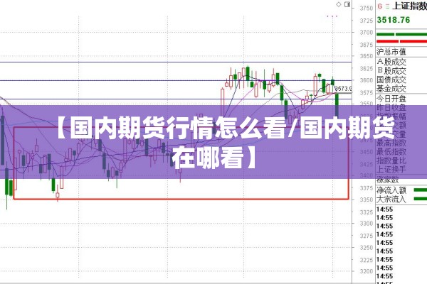 【国内期货行情怎么看/国内期货在哪看】 【国内期货行情怎么看/国内期货在哪看】
