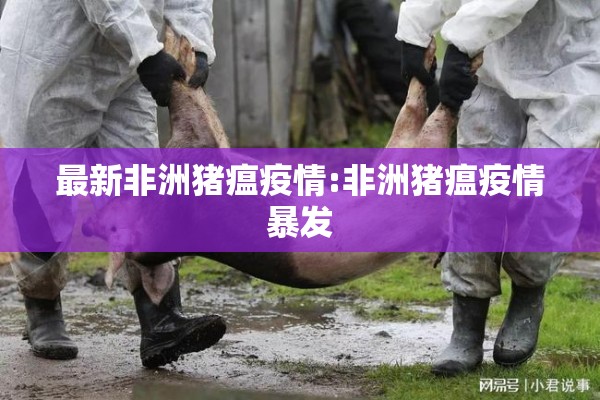 最新非洲猪瘟疫情:非洲猪瘟疫情暴发