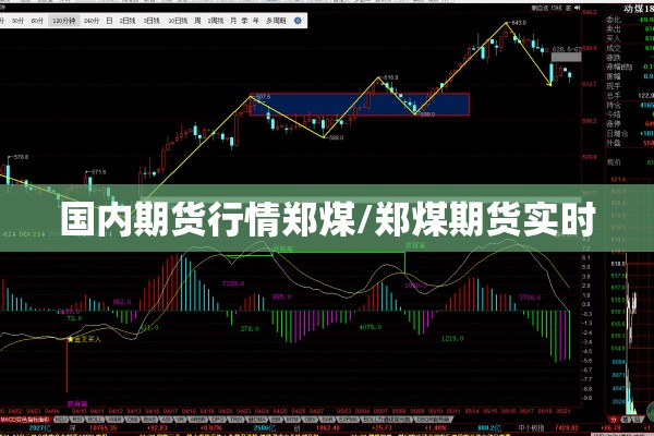 国内期货行情郑煤/郑煤期货实时