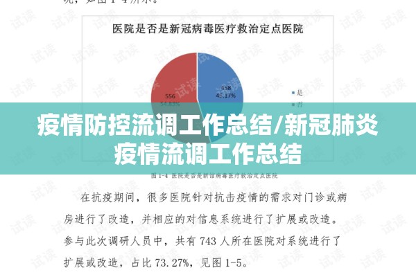 疫情防控流调工作总结/新冠肺炎疫情流调工作总结