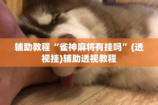 辅助教程“雀神麻将有挂吗”(透视挂)辅助透视教程