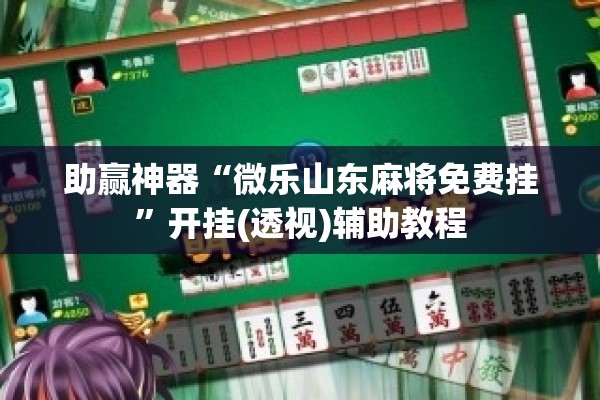 助赢神器“微乐山东麻将免费挂”开挂(透视)辅助教程
