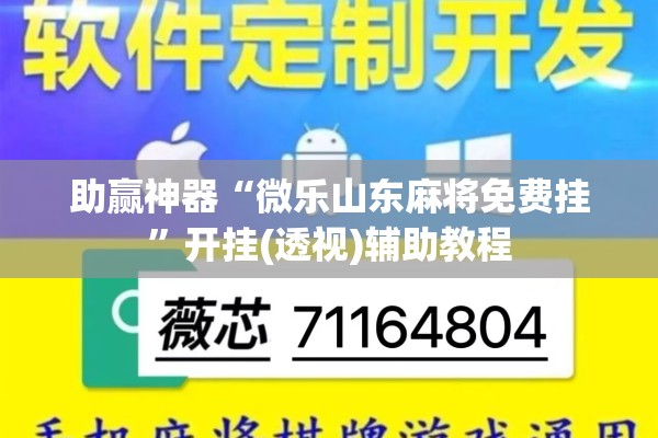 助赢神器“微乐山东麻将免费挂”开挂(透视)辅助教程