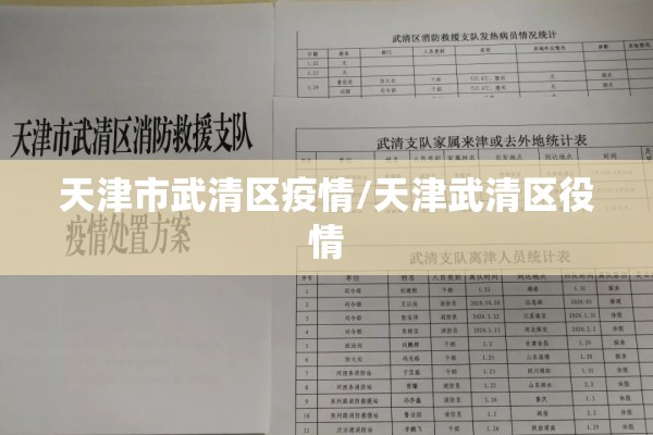 天津市武清区疫情/天津武清区役情