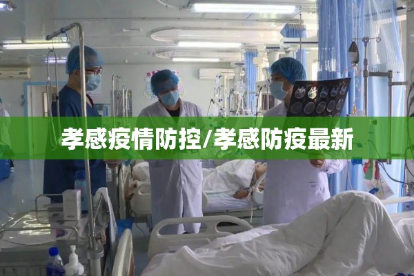 孝感疫情防控/孝感防疫最新