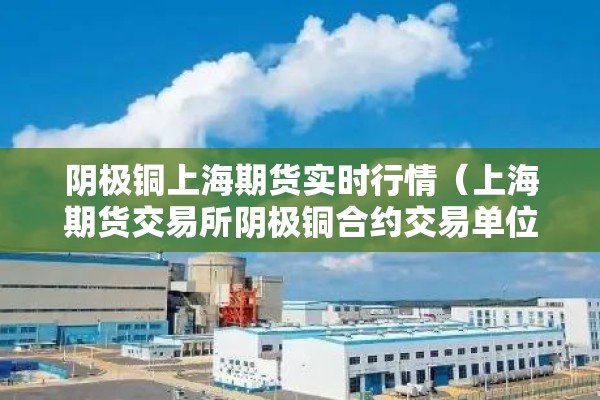 阴极铜上海期货实时行情（上海期货交易所阴极铜合约交易单位为5吨）