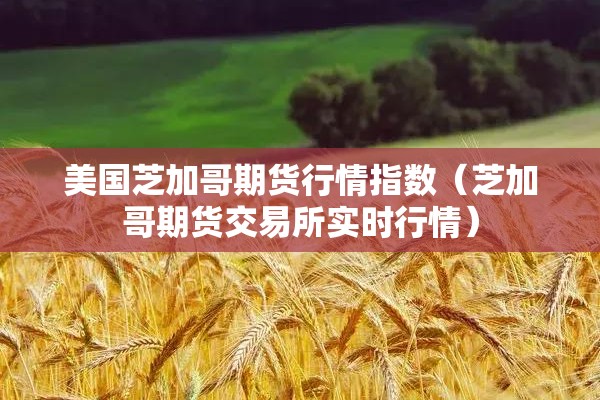 美国芝加哥期货行情指数（芝加哥期货交易所实时行情）