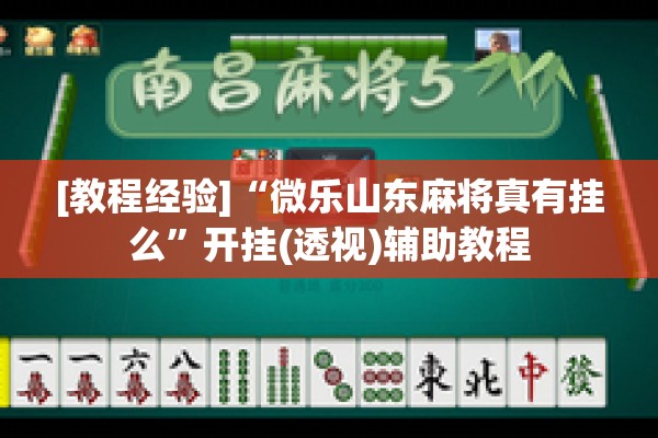 [教程经验]“微乐山东麻将真有挂么	”开挂(透视)辅助教程