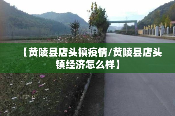【黄陵县店头镇疫情/黄陵县店头镇经济怎么样】