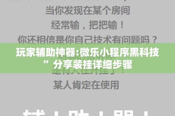 玩家辅助神器:微乐小程序黑科技	”分享装挂详细步骤