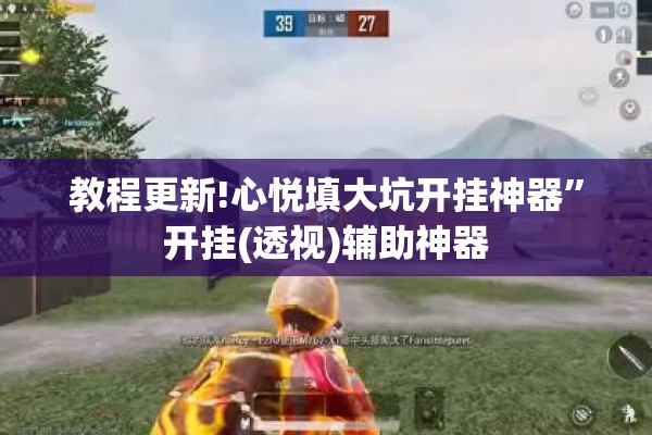 教程更新!心悦填大坑开挂神器”开挂(透视)辅助神器