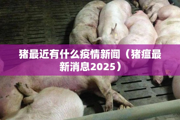猪最近有什么疫情新闻（猪瘟最新消息2025）