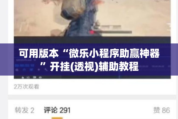可用版本“微乐小程序助赢神器”开挂(透视)辅助教程