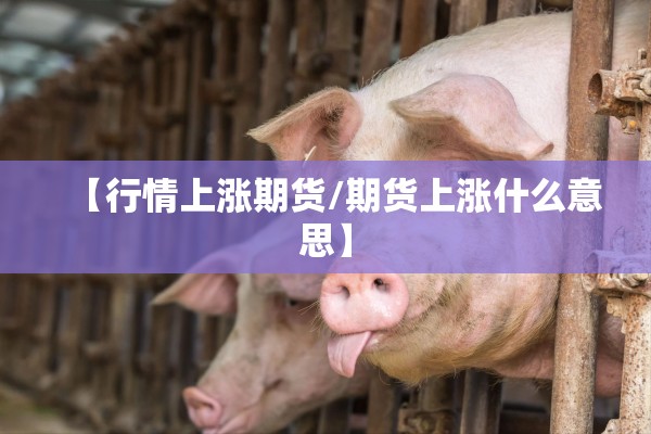 【行情上涨期货/期货上涨什么意思】 【行情上涨期货/期货上涨什么意思】
