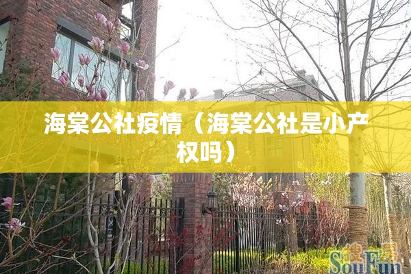 海棠公社疫情（海棠公社是小产权吗）