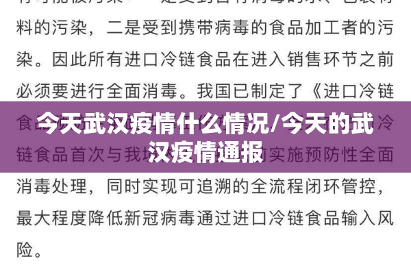 今天武汉疫情什么情况/今天的武汉疫情通报
