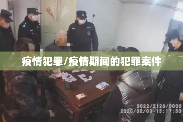 疫情犯罪/疫情期间的犯罪案件 疫情犯罪/疫情期间的犯罪案件