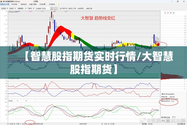 【智慧股指期货实时行情/大智慧股指期货】 【智慧股指期货实时行情/大智慧股指期货】