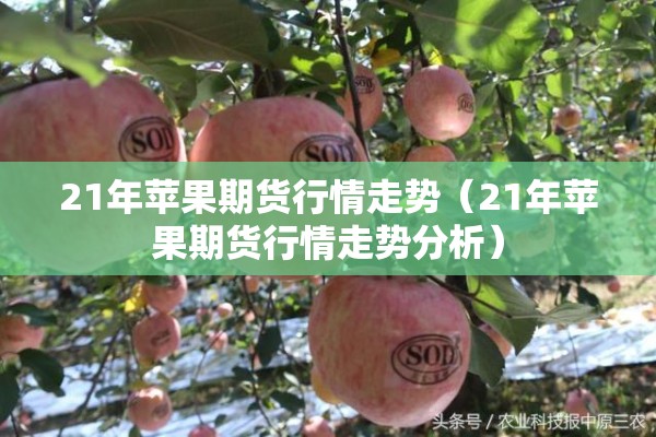 21年苹果期货行情走势(21年苹果期货行情走势分析) 21年苹果期货行情走势(21年苹果期货行情走势分析)