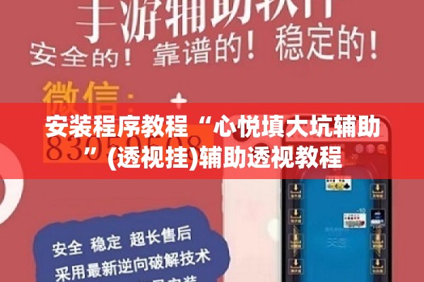 安装程序教程“心悦填大坑辅助	”(透视挂)辅助透视教程