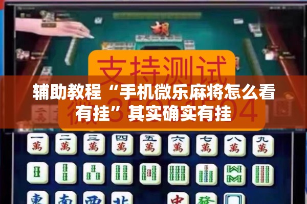 辅助教程“手机微乐麻将怎么看有挂	”其实确实有挂