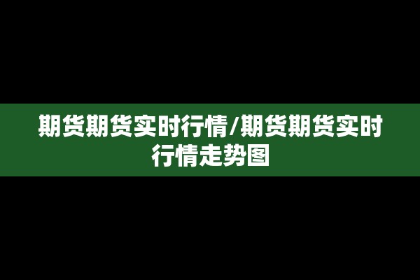 期货期货实时行情/期货期货实时行情走势图 期货期货实时行情/期货期货实时行情走势图