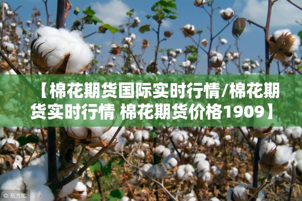 【棉花期货国际实时行情/棉花期货实时行情 棉花期货价格1909】 【棉花期货国际实时行情/棉花期货实时行情 棉花期货价格1909】