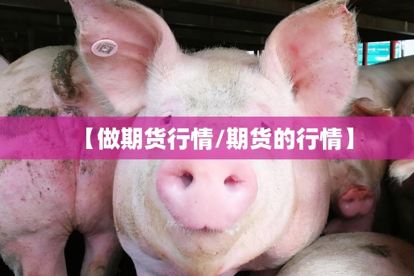 【做期货行情/期货的行情】 【做期货行情/期货的行情】