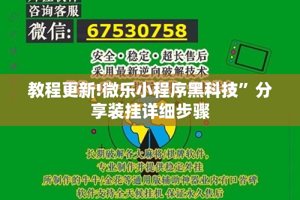 教程更新!微乐小程序黑科技	”分享装挂详细步骤