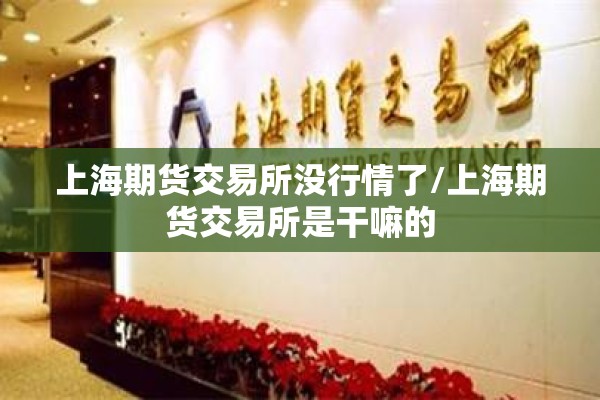 上海期货交易所没行情了/上海期货交易所是干嘛的