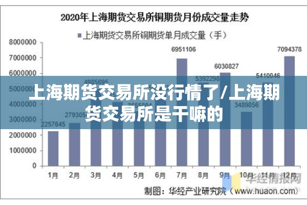 上海期货交易所没行情了/上海期货交易所是干嘛的