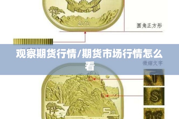观察期货行情/期货市场行情怎么看