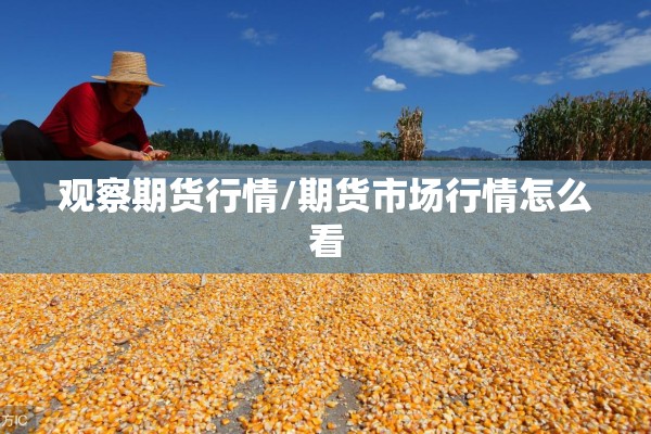 观察期货行情/期货市场行情怎么看