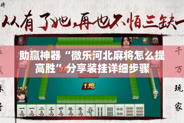 助赢神器“微乐河北麻将怎么提高胜	”分享装挂详细步骤
