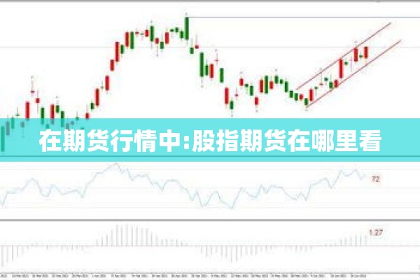 在期货行情中:股指期货在哪里看