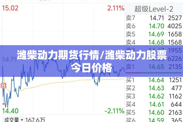 潍柴动力期货行情/潍柴动力股票今日价格