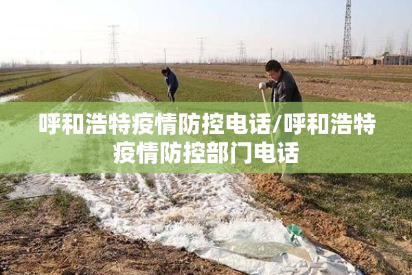 呼和浩特疫情防控电话/呼和浩特疫情防控部门电话 呼和浩特疫情防控电话/呼和浩特疫情防控部门电话