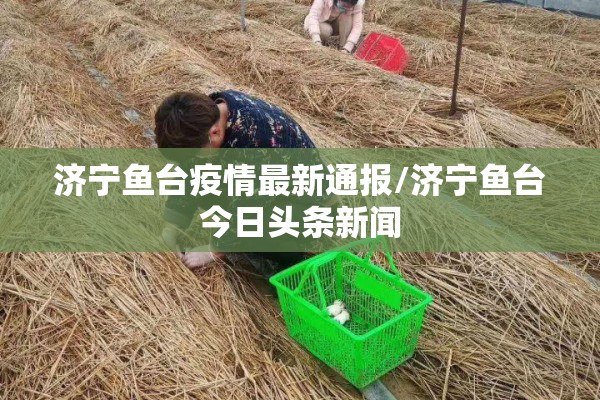济宁鱼台疫情最新通报/济宁鱼台今日头条新闻 济宁鱼台疫情最新通报/济宁鱼台今日头条新闻